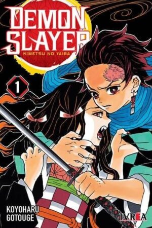 MANGA Demon Slayer Kimetsu no Yaiba