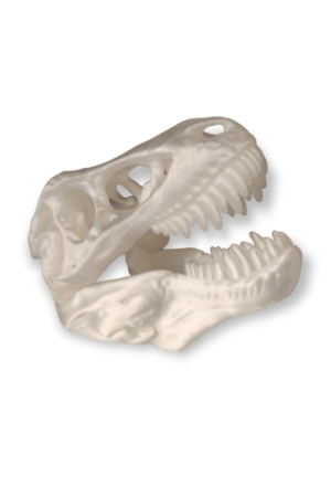 Figura Jurassic Park Craneo T-Rex
